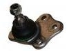 Joint de suspension Ball Joint:401602308R