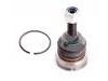 Ball Joint:2H0 407 022 B#