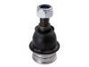 Trag-/Führungsgelenk Ball Joint:51350-TF0-030###