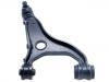 Control Arm:20252-SC010